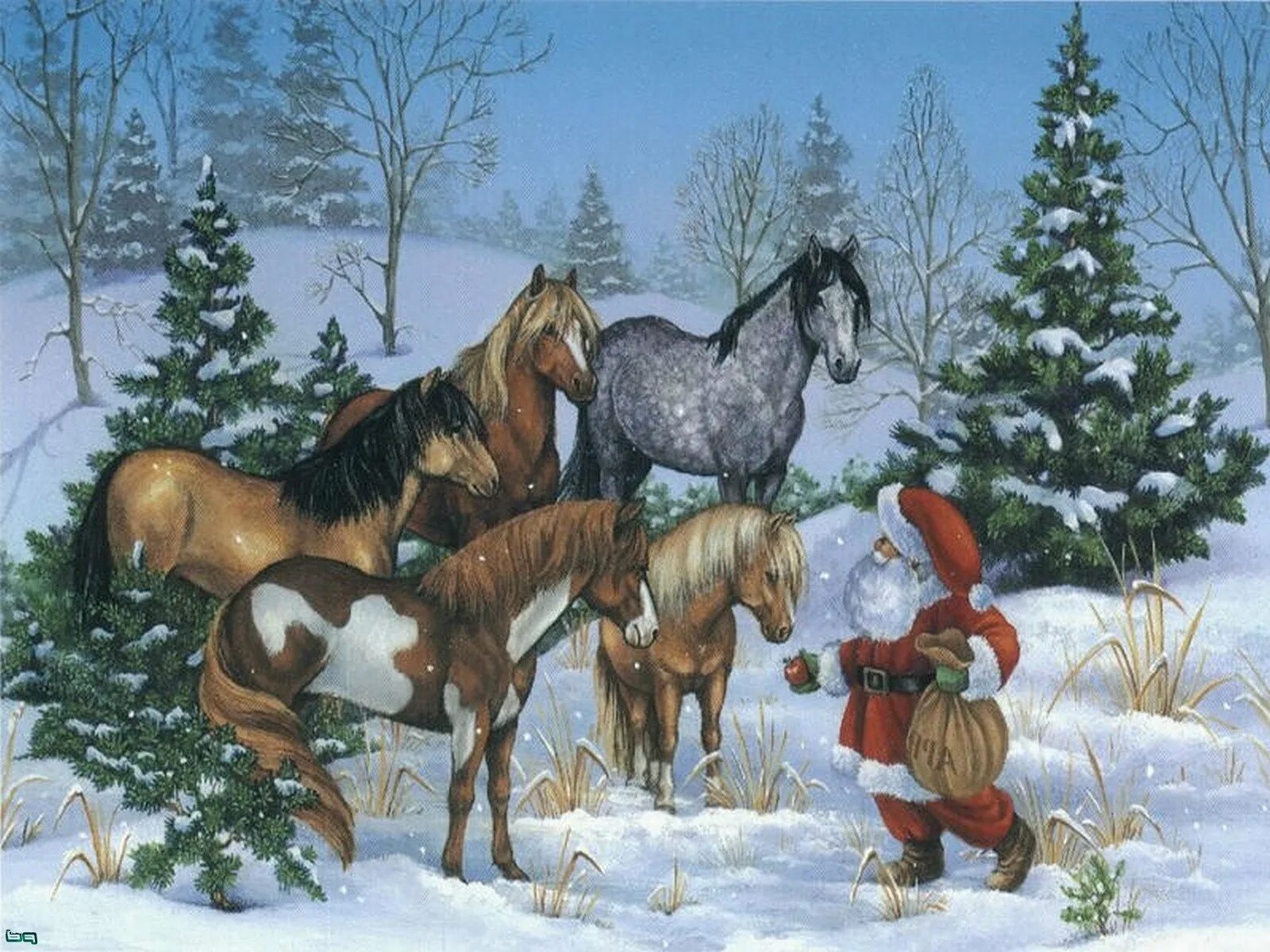 Лошади времен года. Новогодние открытки с лошадьми. Новогодние лошадки. Новогодняя лошадь. Новогодние картинки с лошадьми.