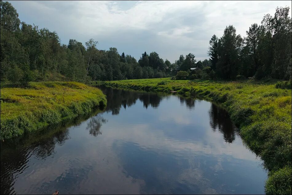 Мга лучшее. Река Мга. Лен обл. Река Мга. Река Мга Кировский район. Речка Мга Ленинградская область.