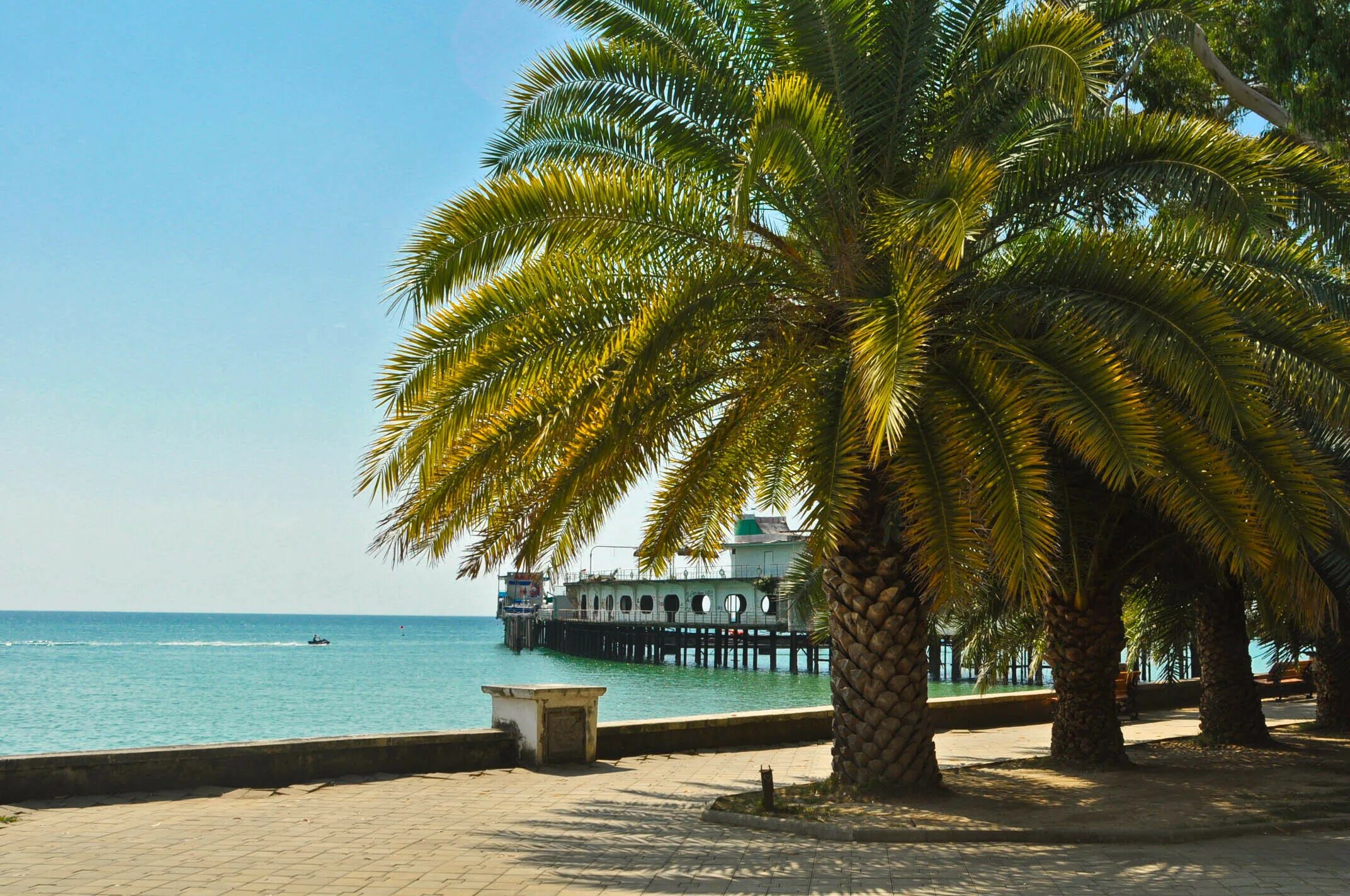 Отель на пляже лдзаа. Абхазия пицунда 2022. Пицунда набережная 2022. Олимп отель пицунда пляж. Курорт пицунда абхазия набережная.