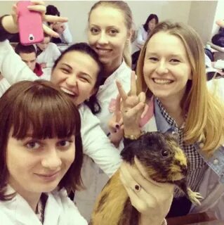 Тест медицинские селфи