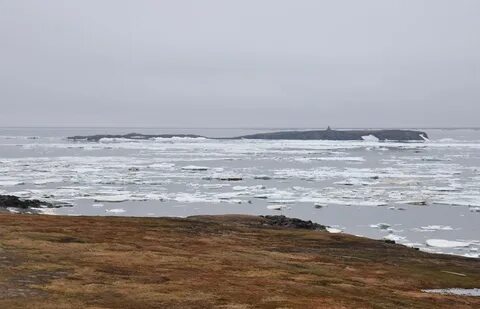 Карское море белое море баренцево море