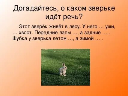 Этот маленький зверек живет в лесу