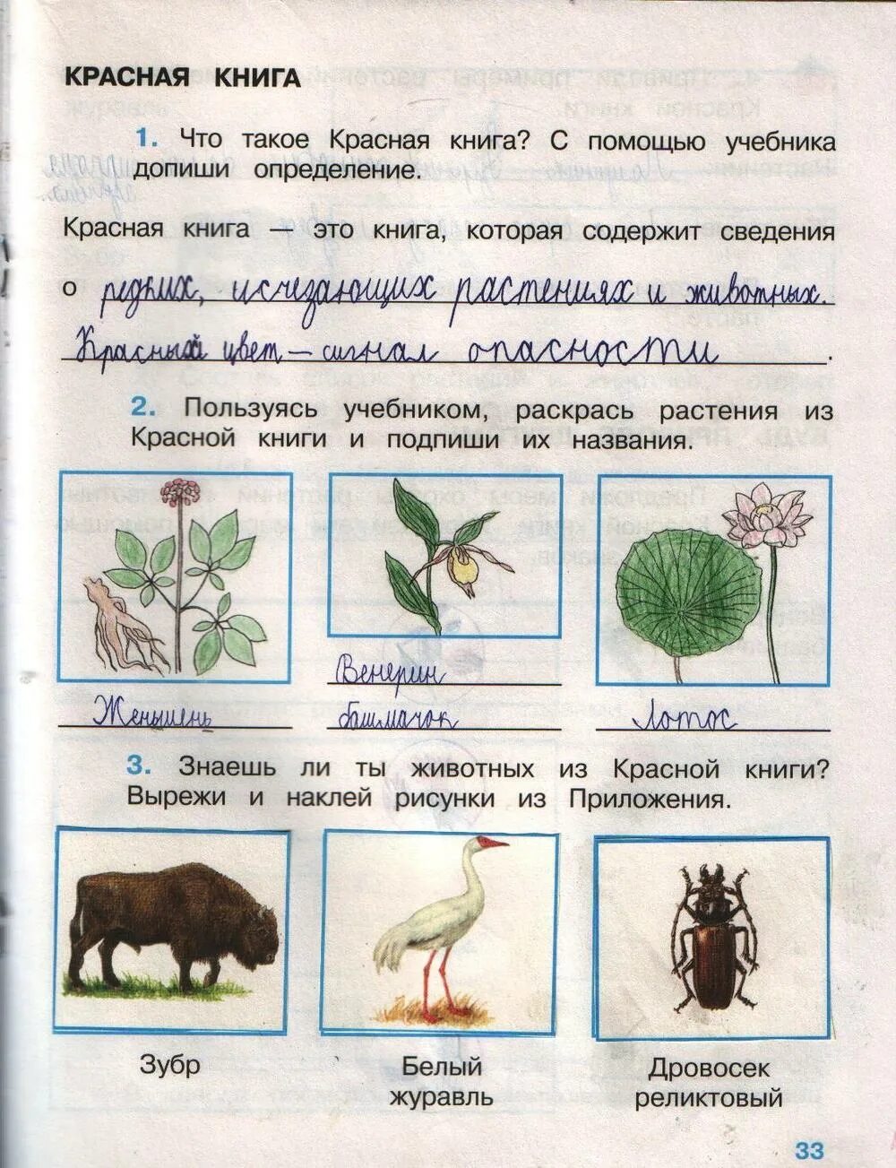 Окружающий мир 2 класс рабочая тетрадь 1 часть стр 60-61 ответы. Окружающий мир 2 класс рабочая тетрадь 1 часть Плешаков ответы стр 60-61. Окружающий мир второй класс Плешаков рабочая тетрадь часть первая. Рабочая тетрадь по окружающему миру 1 класс 2 часть Плешаков. Пользуясь учебником напиши в квадратиках первые