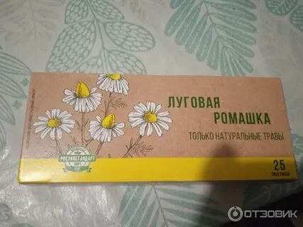Ромашка луговая чай польза