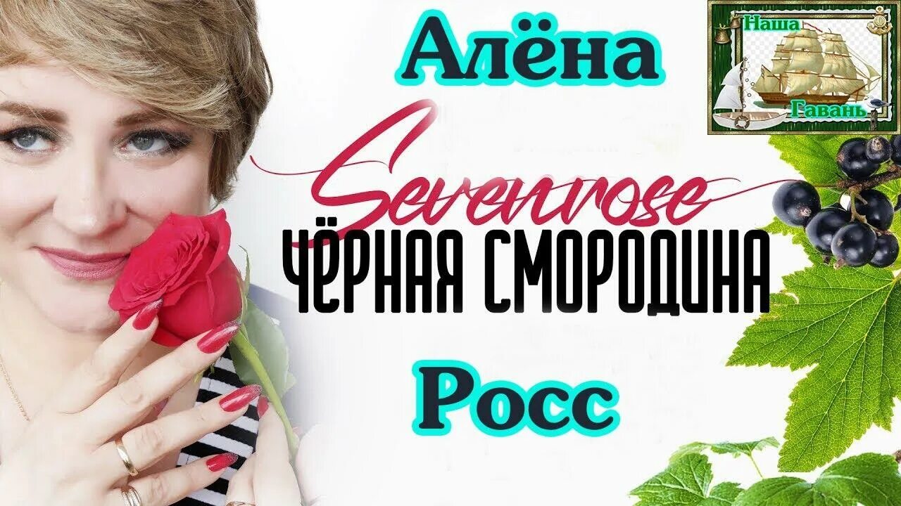 А Лена Росс чернаясмордина 2022. Алена Росс (sevenrose) - черная смородина. Алена рос черная