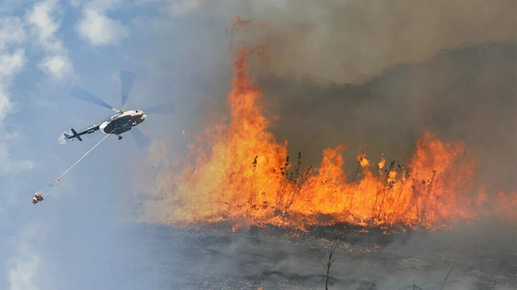 Сгорело 6 кг. Лесные пожары. Вертолет для тушения пожаров. Вертолет "пожарный". Лесной пожар фото.