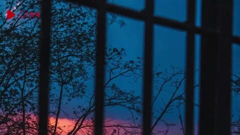 Слова песни ночь за окном