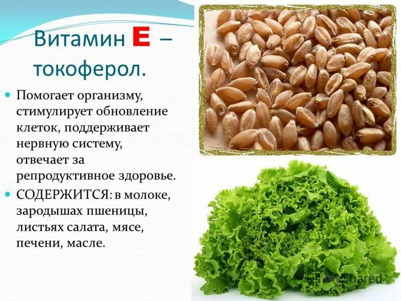 Токоферол содержится. Витамин e (токоферол). витамин е токоферол содержится. витамины а + е. витамин витамин витамин е (токоферол.