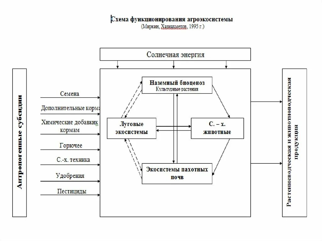 Функционирующая таблица. Схема функционирования агроэкосистем. Схема функционирования агроэкосистемы. Структура агроэкосистемы. Составление схемы агроэкосистемы.