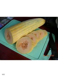Дыня армянский огурец