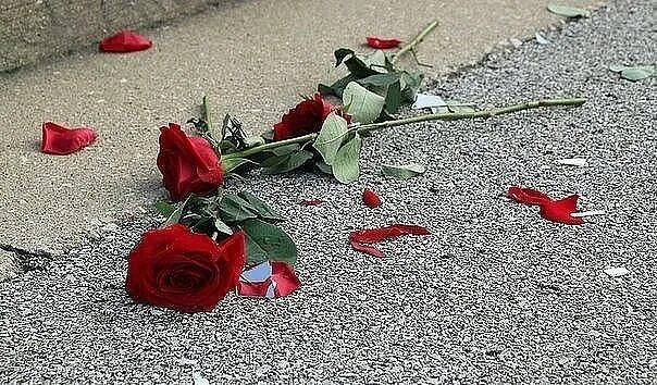Сорванный цветок. Выброшенные цветы. Разброшенные розы. Растоптанный цветок. Рассыпанные розы.