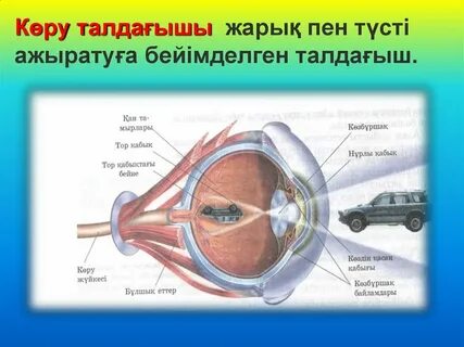 Оргазмның ыңырануы мен айқайын онлайн көріңіз