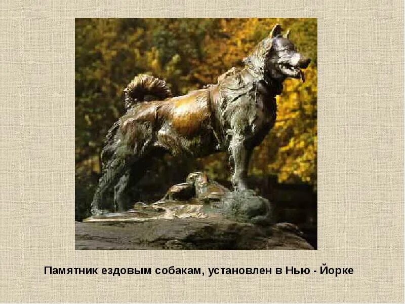 Памятник бездомной собаке в тюмени. Памятник бродячей собаке гаврюше. Памятник гаврюше спб. Памятники посвященные собакам. Памятник хатико.
