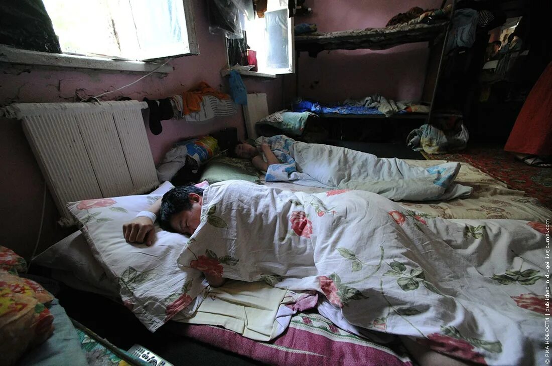 Общежитие мигрантов. Таджики спят на квартире. Таджики в квартире. Картинка узбеки спят