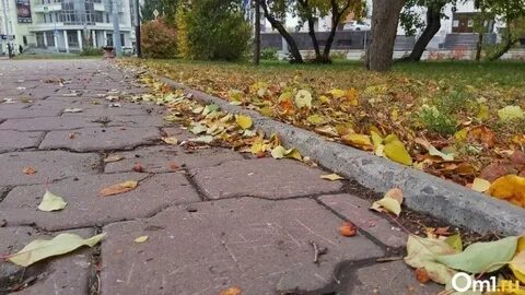 6 сентября новосибирск