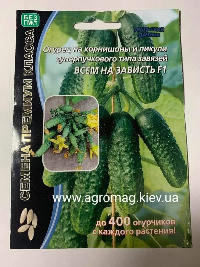 Огурец сорта всем на зависть