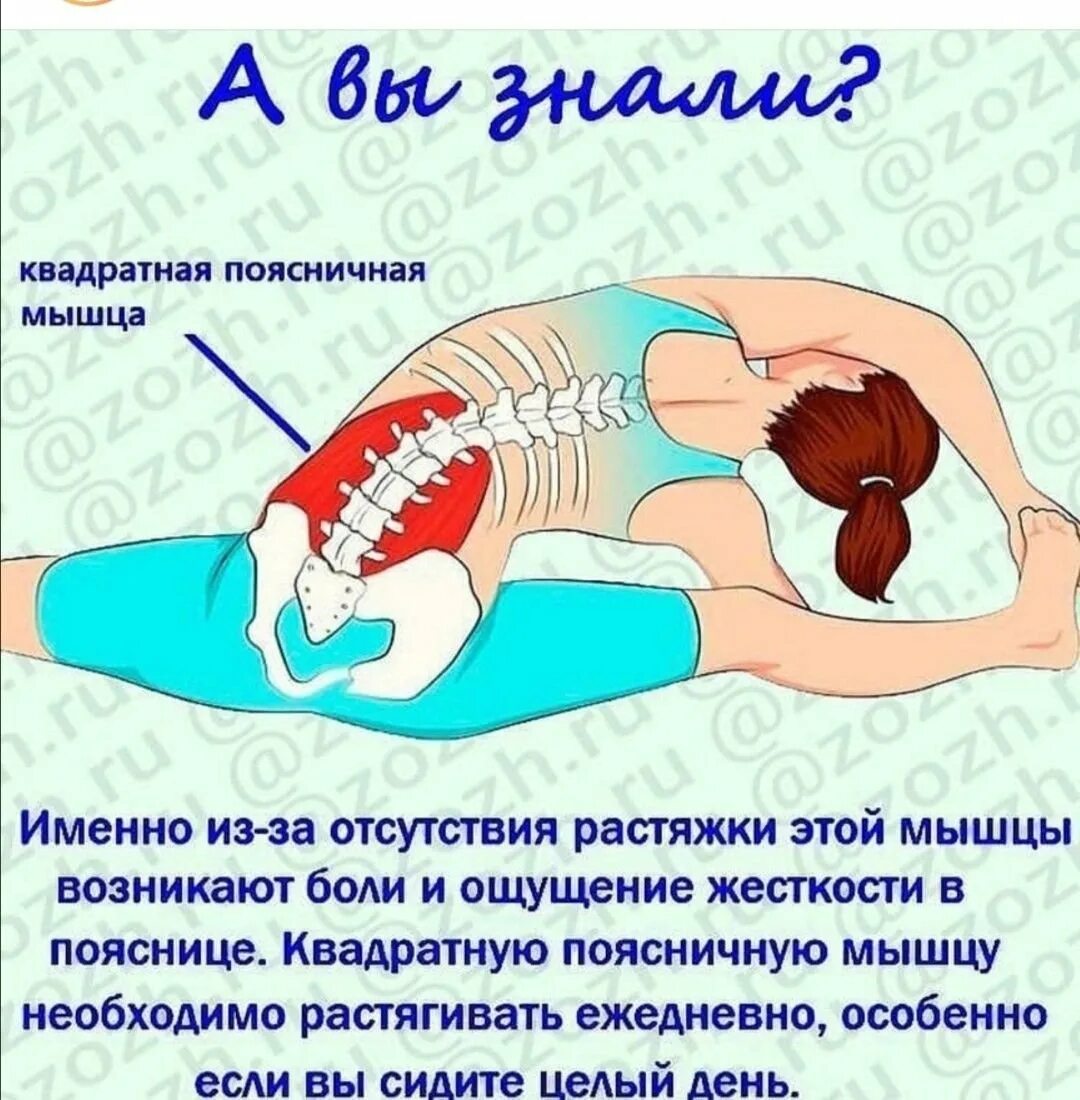 Как расслабить мышцы спины. Растяжка подвздошно-поясничной мышцы. растяжка подвздошно поясничной. растянуть подвздошно-поясничную мышцу. подвздошно-поясничная мышца упражнения.