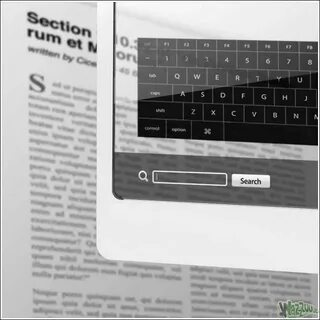 Search section