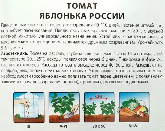 Томат сорт яблонька. Томат Яблонька России. Томаты Яблонька России описание сорта. Яблонька России томат описание фото. Томат Яблонька России характеристика.