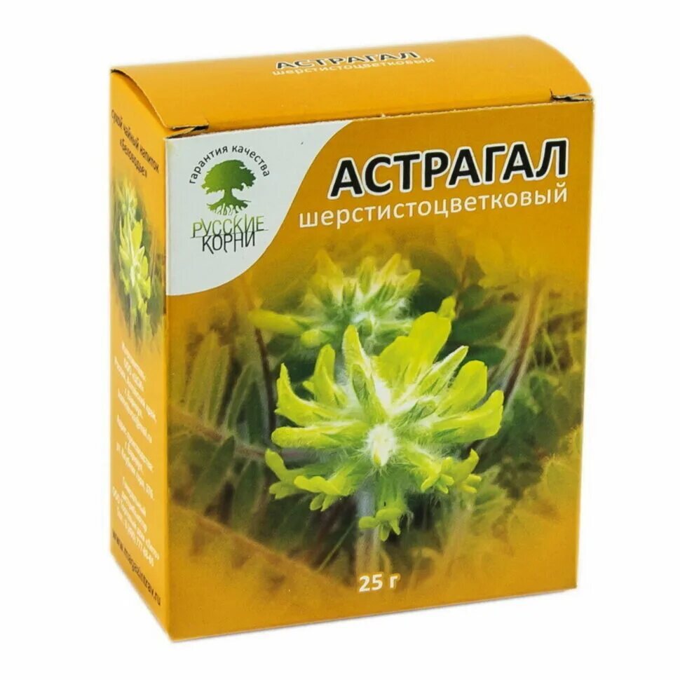 Астрагал шерстистоцветковый трава - лекра-сэт 25г. Астрагал шерстистоцветковый корень. Астрагал перепончатый трава. 5. Астрагал трава в аптеке.