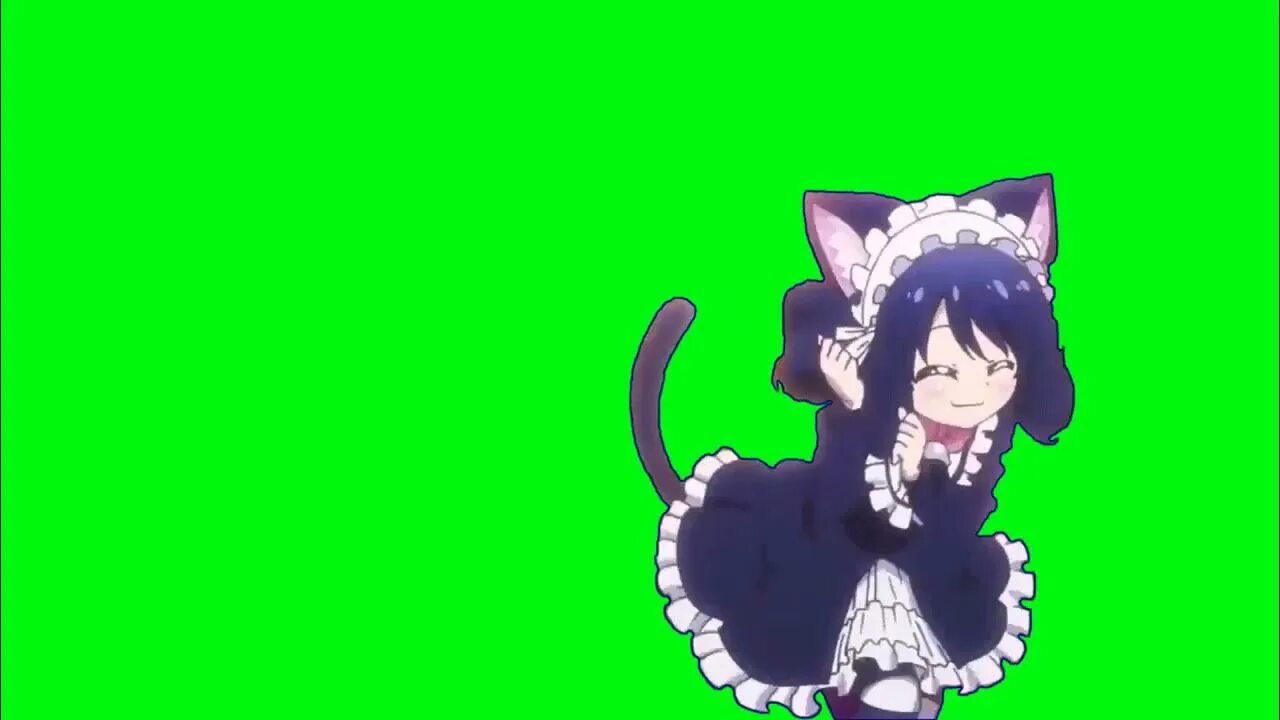 Танцующая аниме кошка девочка. Грин скрин аниме танцует. Куронеко чан. Циан хиджирикава танец. Cat girl dancing.