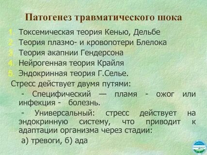 Патогенез травматического шока