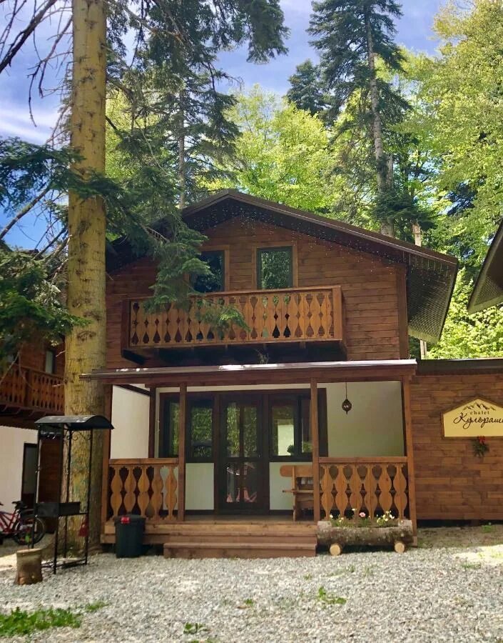 Кавказский заповедник пихта кавказская. Леса домбая. Эко хаус архыз. Хвоя архыз. Отель плаза архыз.