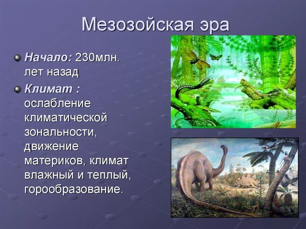 Мезозойская эра 9 класс