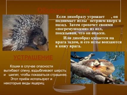 Отбиваться от врагов
