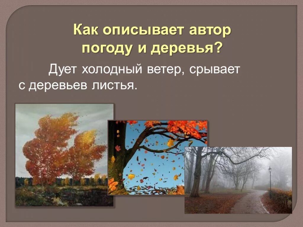 Рассказ поздняя осень. Презентация поздняя осень. Ветер срывает листья с деревьев. Рассказ поздней осенью.