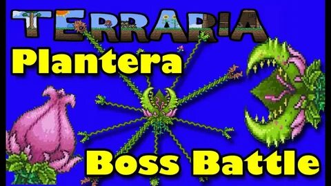 Как призвать босса