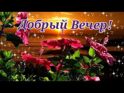 Видео с пожеланием доброго вечера