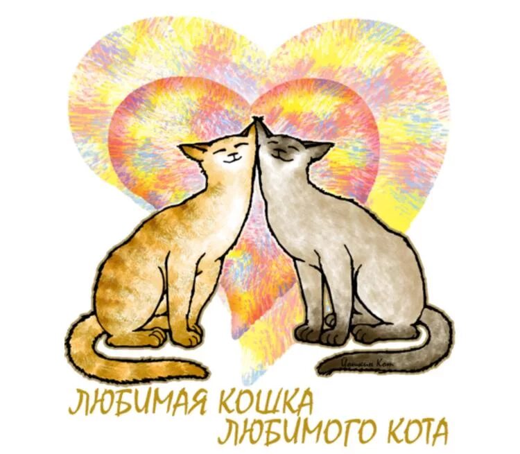 Моя любимая кошечка. Люблю котика. Любимый кот. Любимому котику. Обожаю кошек