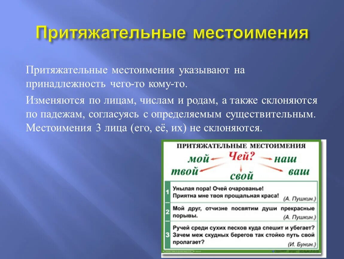 Притяжательные местоимения изменяются по родам и числам. Притяжательные местоимения. Притягательные местоимения. Притяжательные местоми. Притяжател ныеместоимения.