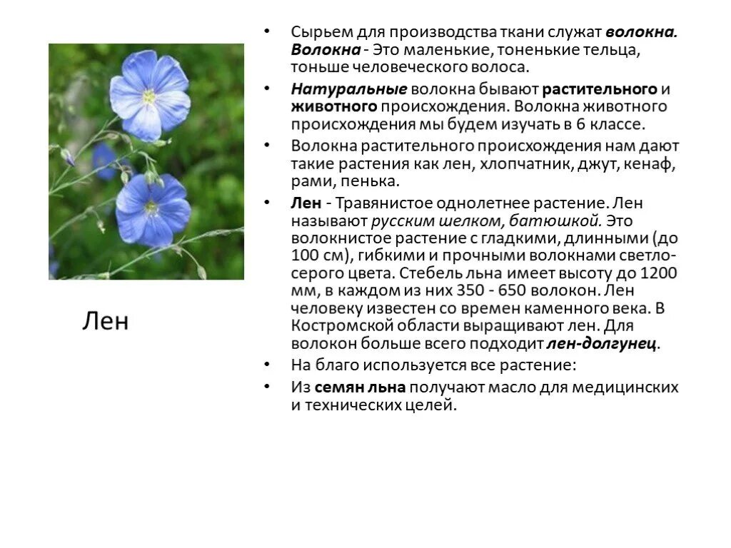 Растительные волокна свойства. Доклад про лён 5 класс технология. Натуральные волокна растительного происхождения 5 класс. Сообщение о льне 5 класс технология. Лён растение волокно.