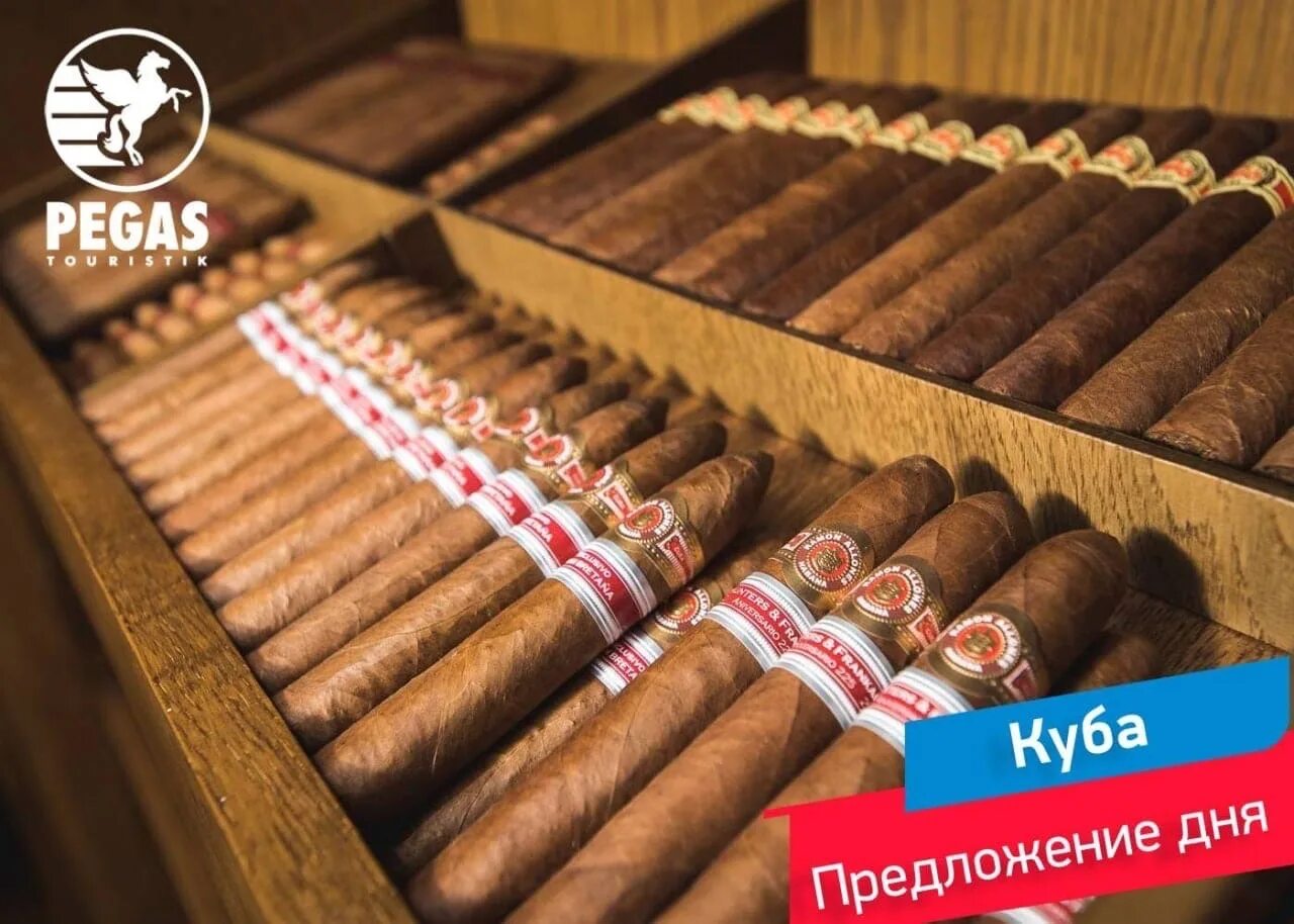 Сигары habana кубинские. Кубинская сигара фото. Кубинские сигары cohiba. Кубинская сигара фото. Кубинские сигары.