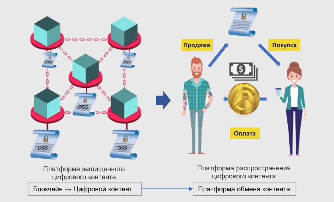 Платформа цифровой контент. Платформа обмен информацией. Платформы для получения и обмена информацией. Контентная платформа. Автор цифрового контента.