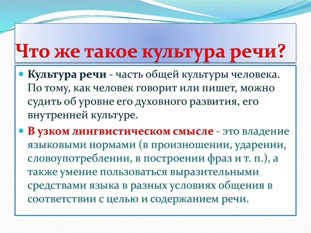 Размышления о речи в 5 предложений. Культура речи. Что такое культура речи сочинение. Культурная речь. Эссе культура речи.