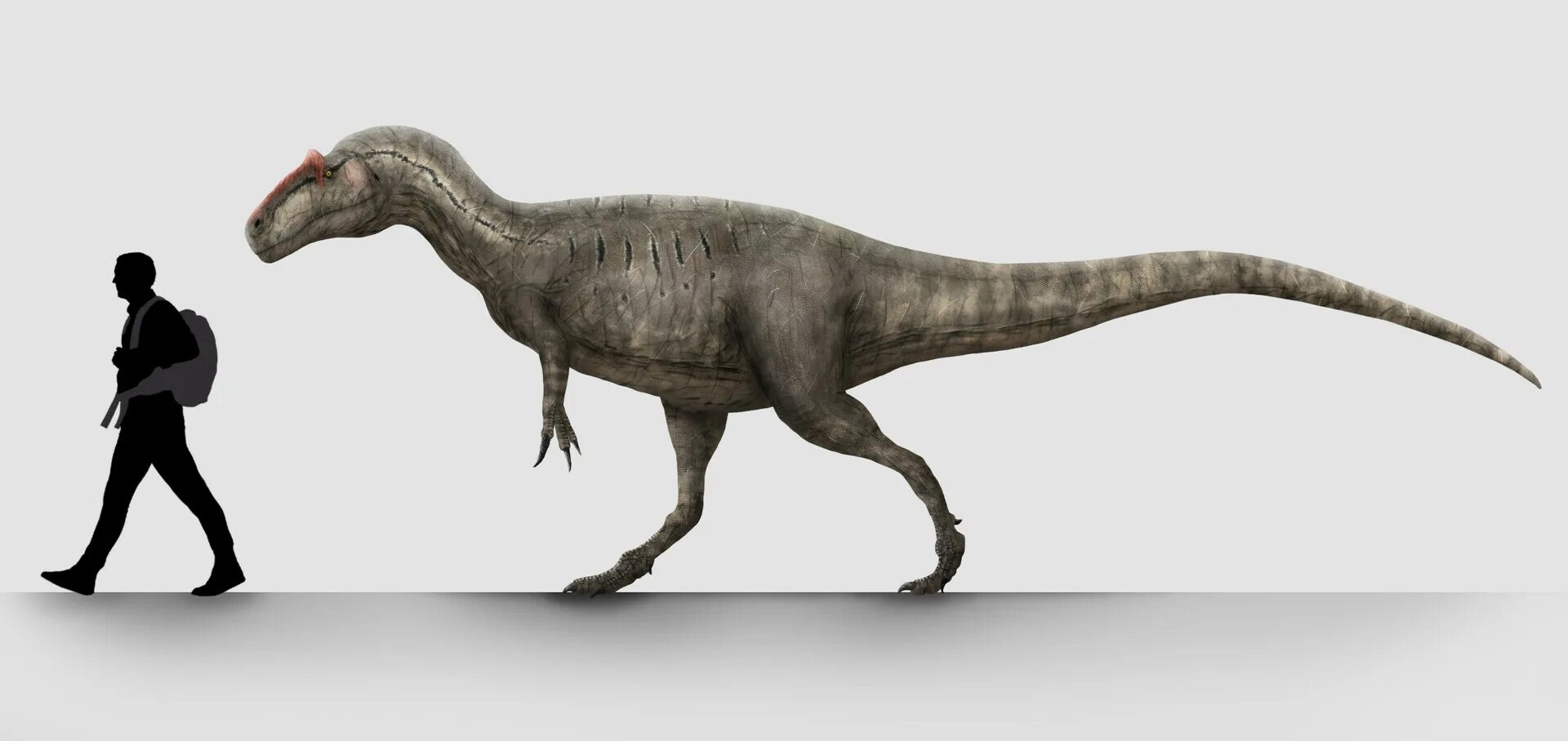 Allosaurus_jimmadseni. Большой Аллозавр. Аллозавр палеоарт. Аллозавр большой ал. Большой ал 2