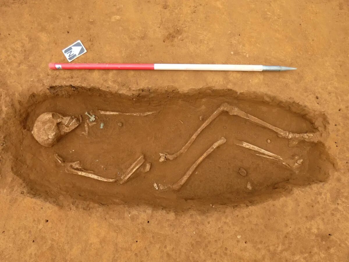Нашли доисторическую девушку 40 миллионов. Англосаксонская археология. Англосаксонские могильные предметы.