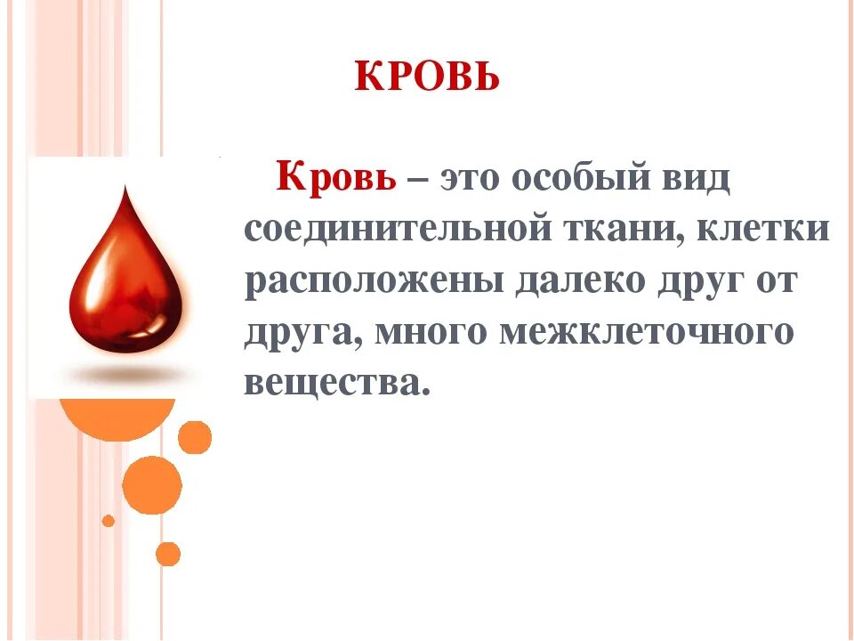 Песня кровь это кровь как приятно наблюдать. Кровь это особый вид соединительной ткани. Кровь презентация по биологии.