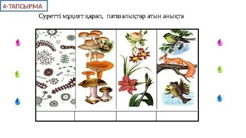 Жас секс youtube