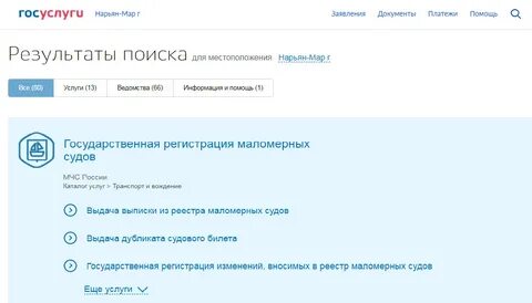 Госуслуги в судах