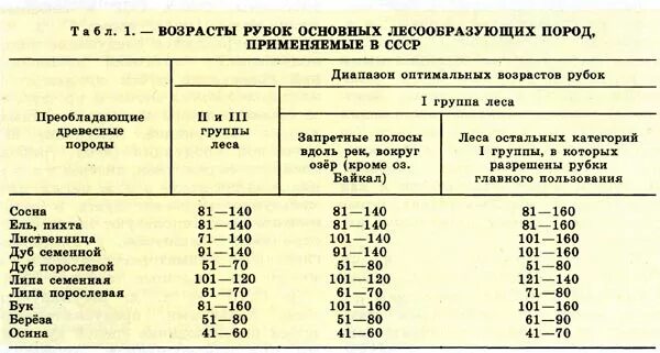 Группы возраста ели