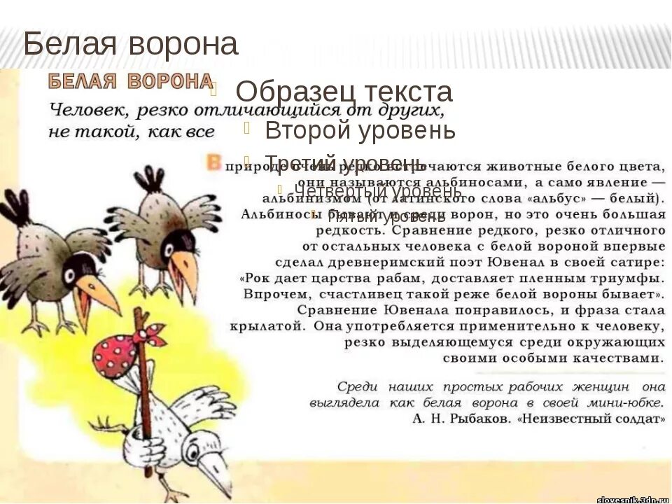 Смысл ворона. Крылатое выражение белая ворона. белая ворона фразеологизм. белая ворона значение фразеологизма. происхождение фразеологизма белая ворона.
