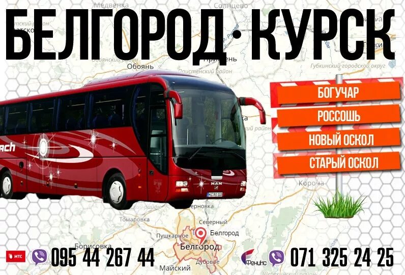 Купить билет на автобус мелитополь. Расписание автобусов Белгород Курск. Курск Белгород. Автовокзал Курск Белгород. Курск Белгород автобус.