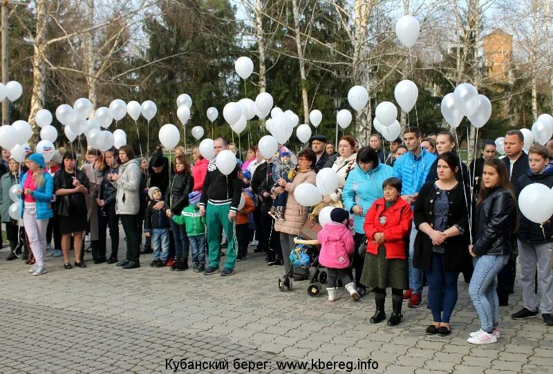 Погода в брюховецкой на 14 дней. Школы Брюховецкого района. Кубанский берег. Кубанский берег Гормалев. Кубанский берег Брюховецкая.