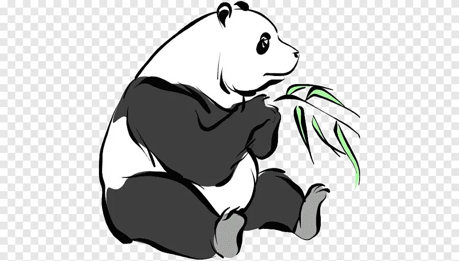 T pandas