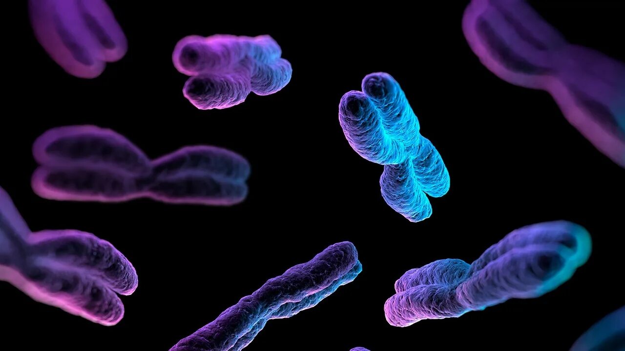 Удвоение хромосом какая мутация. Хромосомы. Хромосомы на черном фоне. Изображение хромосомы. Хромосомные аберрации.