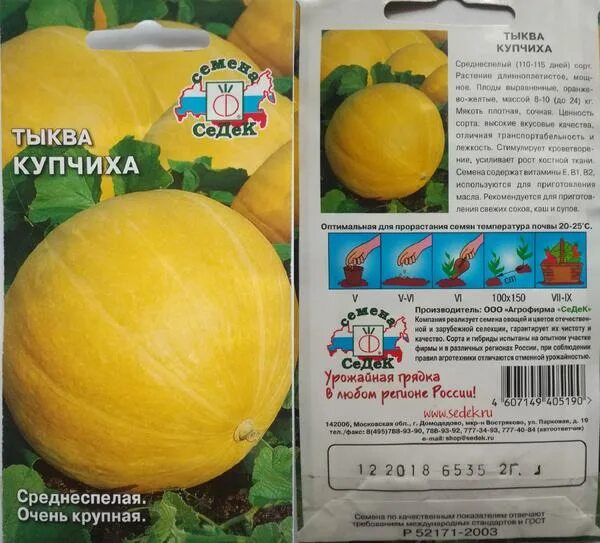 Купчиха сорт капусты отзывы. Тыква купчиха. томат купчиха f1. сорт помидор купчиха. тыква жёлтая круглая сорт.